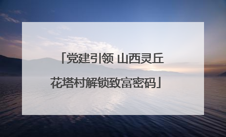 党建引领 山西灵丘花塔村解锁致富密码