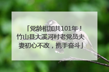 党龄相加共101年！竹山县大溪河村老党员夫妻初心不改，携手奋斗