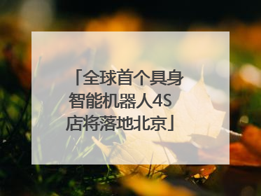 全球首个具身智能机器人4S店将落地北京