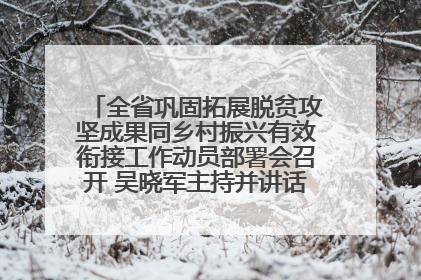 全省巩固拓展脱贫攻坚成果同乡村振兴有效衔接工作动员部署会召开 吴晓军主持并讲话 罗东川作安排部署