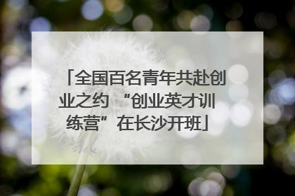 全国百名青年共赴创业之约 “创业英才训练营”在长沙开班