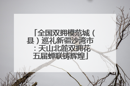 全国双拥模范城（县）巡礼新疆沙湾市：天山北麓双拥花 五届蝉联铸辉煌