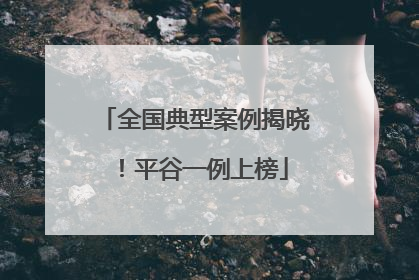全国典型案例揭晓！平谷一例上榜