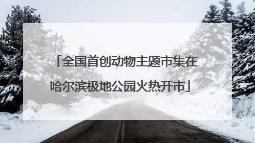 全国首创动物主题市集在哈尔滨极地公园火热开市