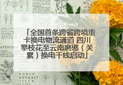 全国首条跨省跨境重卡换电物流通道 四川攀枝花至云南磨憨（关累）换电干线启动