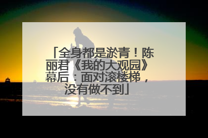全身都是淤青！陈丽君《我的大观园》幕后：面对滚楼梯，没有做不到