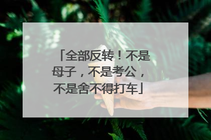 全部反转！不是母子，不是考公，不是舍不得打车