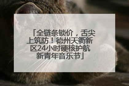 全链条锁价，舌尖上筑防！德州天衢新区24小时硬核护航新青年音乐节