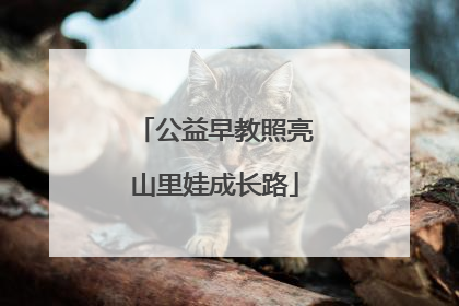 公益早教照亮山里娃成长路