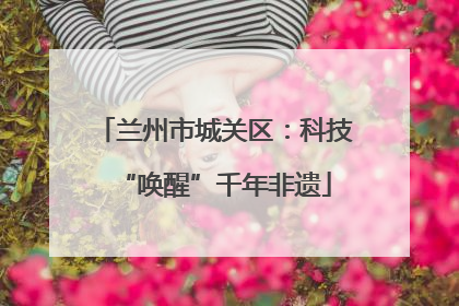 兰州市城关区：科技“唤醒”千年非遗