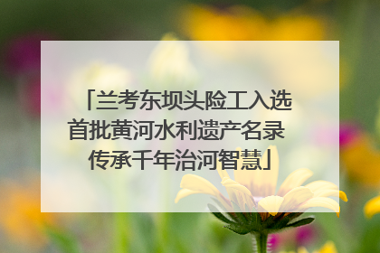 兰考东坝头险工入选首批黄河水利遗产名录 传承千年治河智慧