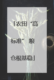 农田“高标准” 粮仓根基稳