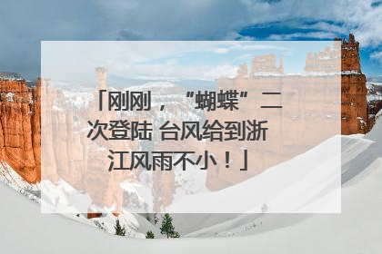 刚刚，“蝴蝶”二次登陆 台风给到浙江风雨不小！