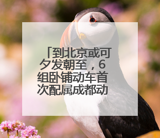 到北京或可夕发朝至，6组卧铺动车首次配属成都动车段