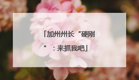 加州州长“硬刚”：来抓我吧