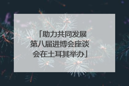 助力共同发展 第八届进博会座谈会在土耳其举办
