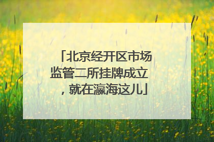 北京经开区市场监管二所挂牌成立，就在瀛海这儿