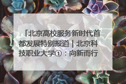 北京高校服务新时代首都发展特别报道｜北京科技职业大学①：向新而行，为首都低空经济发展提供“即战力”