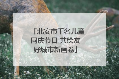北安市千名儿童同庆节日 共绘友好城市新画卷