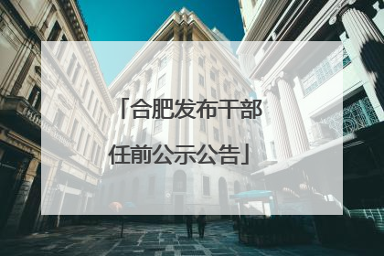 合肥发布干部任前公示公告