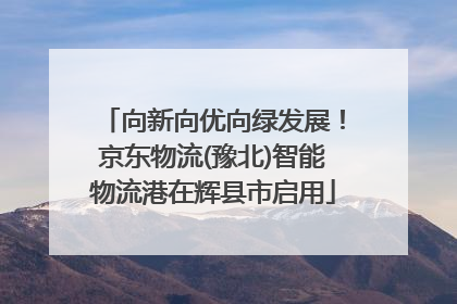向新向优向绿发展！京东物流(豫北)智能物流港在辉县市启用