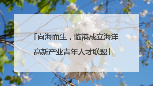 向海而生，临港成立海洋高新产业青年人才联盟