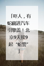 吓人，有蛇藏进汽车引擎盖！北京9天接9起“蛇警”