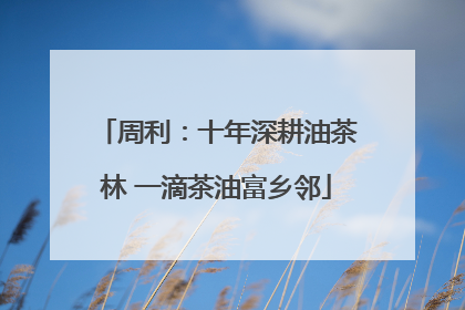 周利：十年深耕油茶林 一滴茶油富乡邻
