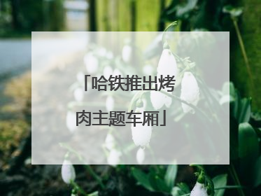 哈铁推出烤肉主题车厢