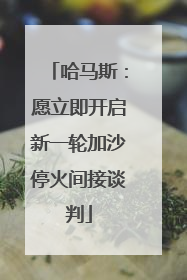 哈马斯：愿立即开启新一轮加沙停火间接谈判