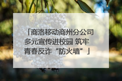 商洛移动商州分公司多元宣传进校园 筑牢青春反诈“防火墙”