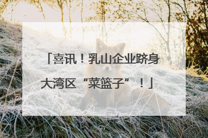 喜讯！乳山企业跻身大湾区“菜篮子”！
