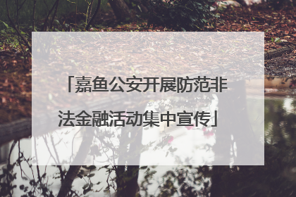 嘉鱼公安开展防范非法金融活动集中宣传