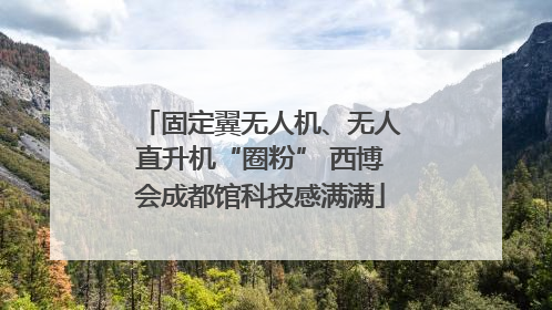 固定翼无人机、无人直升机“圈粉” 西博会成都馆科技感满满