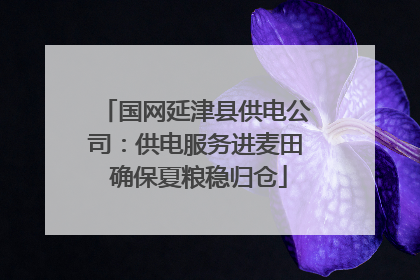 国网延津县供电公司：供电服务进麦田 确保夏粮稳归仓