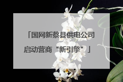 国网新蔡县供电公司启动营商“新引擎”