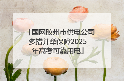 国网胶州市供电公司多措并举保障2025年高考可靠用电