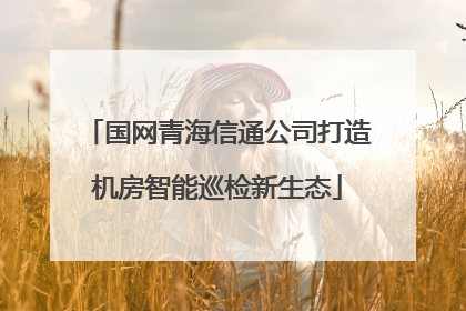 国网青海信通公司打造机房智能巡检新生态