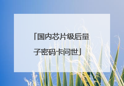 国内芯片级后量子密码卡问世