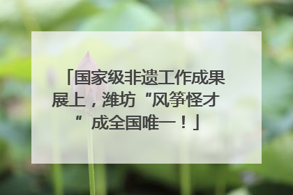 国家级非遗工作成果展上，潍坊“风筝怪才”成全国唯一！