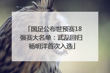 国足公布世预赛18强赛大名单：武磊回归 杨明洋首次入选