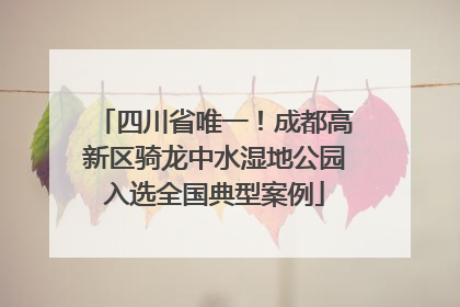 四川省唯一！成都高新区骑龙中水湿地公园入选全国典型案例