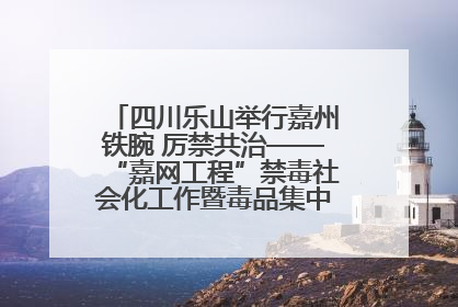 四川乐山举行嘉州铁腕 厉禁共治——“嘉网工程”禁毒社会化工作暨毒品集中销毁启动仪式
