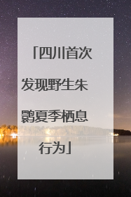 四川首次发现野生朱鹮夏季栖息行为