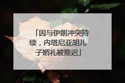 因与伊朗冲突持续，内塔尼亚胡儿子婚礼被推迟