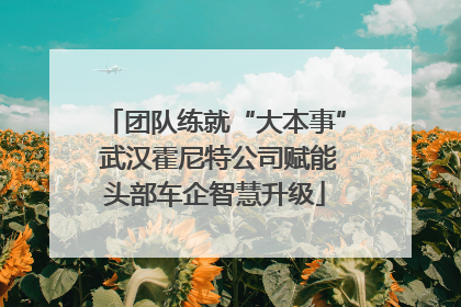 团队练就“大本事” 武汉霍尼特公司赋能头部车企智慧升级