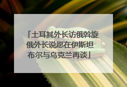土耳其外长访俄斡旋 俄外长说愿在伊斯坦布尔与乌克兰再谈