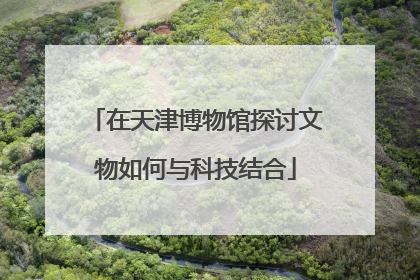 在天津博物馆探讨文物如何与科技结合
