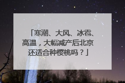 寒潮、大风、冰雹、高温，大幅减产后北京还适合种樱桃吗？