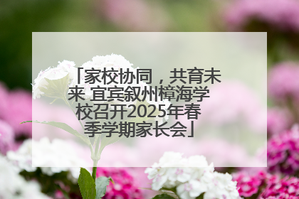 家校协同，共育未来 宜宾叙州樟海学校召开2025年春季学期家长会